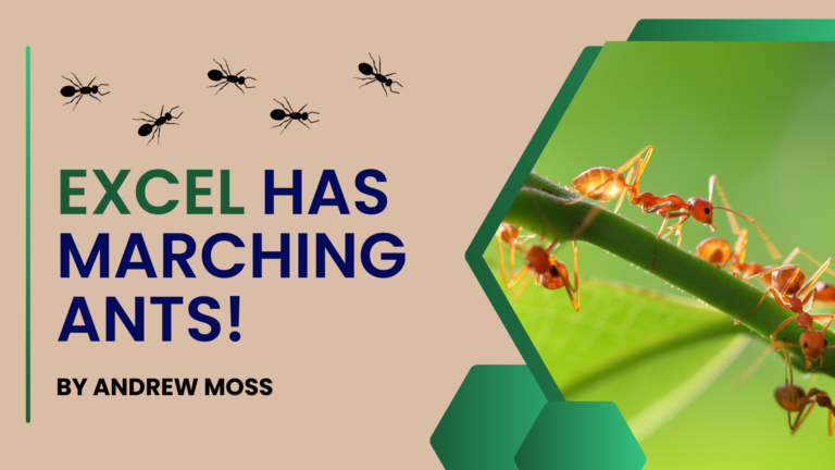 Excel has marching ants!
  